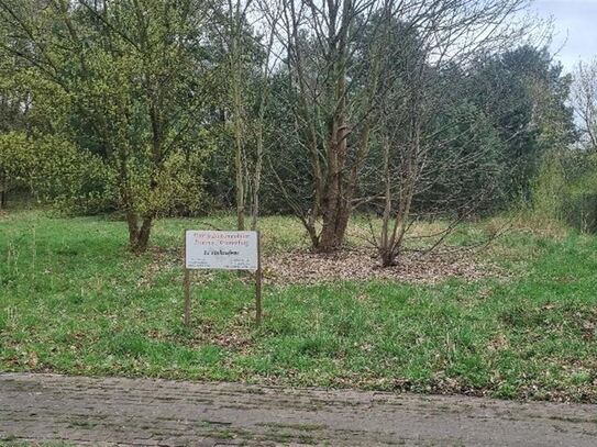 Großes Baugrundstück !!!!!! Kremmen/Beetz in Ruhiglage direkt am Wald