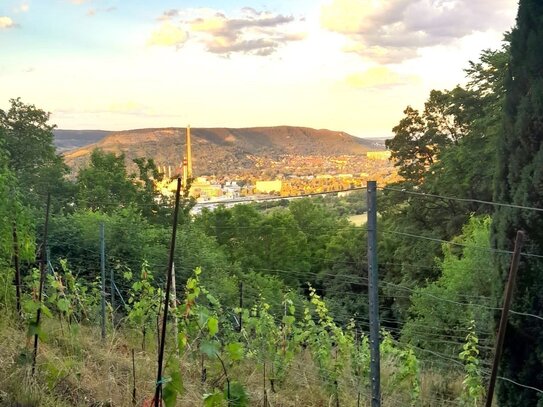 Freizeitgrundstück mit Weinberg und tollem Panorama