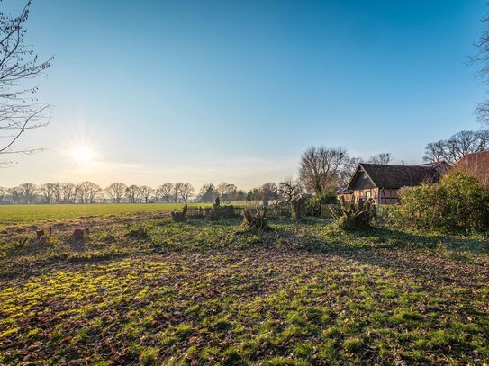 Wunderschöne Feldrandlage: Baugrundstück für Ihr Traumhaus mit Option auf Pacht einer Pferdeweide