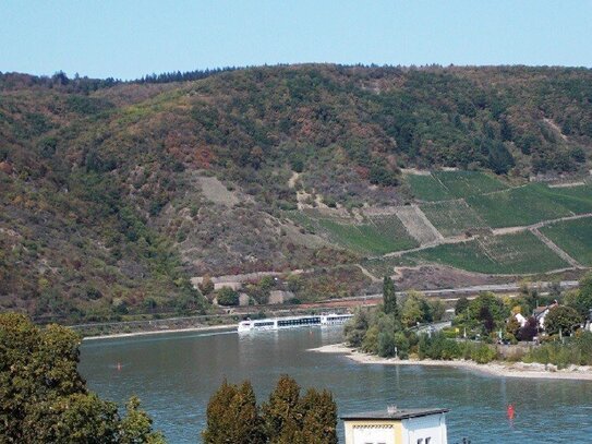 mehrere Jahrhunderte altes historische Objekt mit Rheinblick, 2009 vollständig renoviert, mehrere Apartmens und hochwer…