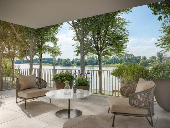 Terrasse, Sauna und Kamin - Luxus Neubauwohnung am Schlosspark mit Rheinblick (Nr. 9)