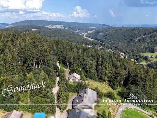 Unikatives Baugrundstück mit Biotop in Feldberg