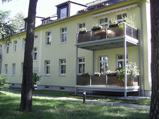 Schöne 2-Zimmer-Erdgeschoss-Wohnung mit Balkon in beliebter Wohnanlage in Roßlau zu vermieten