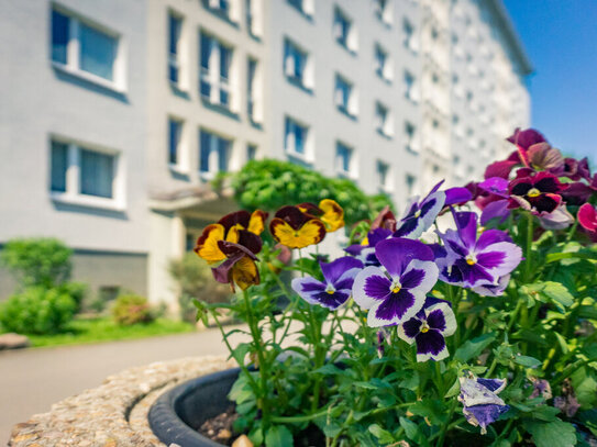 Großzügige 2-Raum-Wohnung mit Balkon nahe Stadtpark