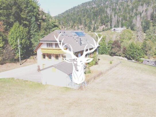 Zweifamilienhaus mit großem Entwicklungspotenzial in idyllischer Naturlage von Schlageten.