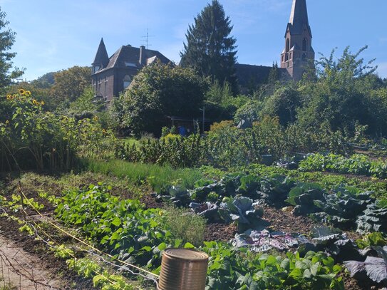 schönes Gartengrundstück Mitten in Bonn Bad Godesberg Muffendorf