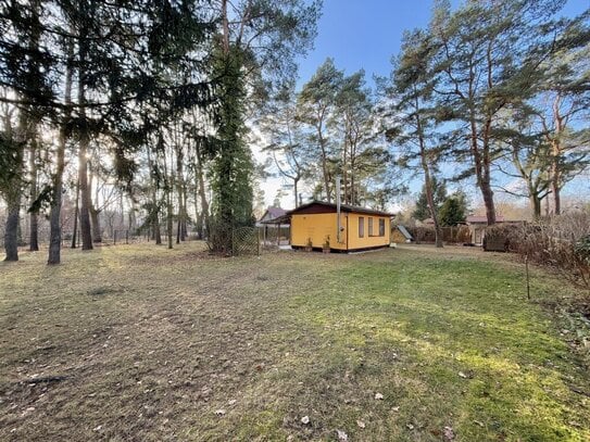 Baugrundstück in bester Lage und Bungalow - Oranienburg Süd