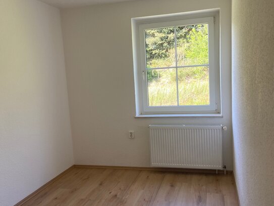 Sanierte 3 Raum Wohnung inkl Garten