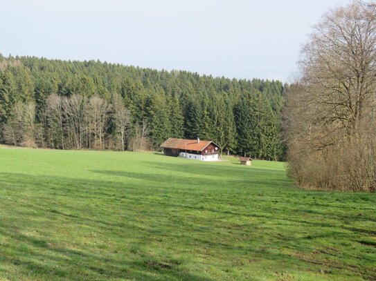 Ehem. Anwesen - Alleinlage - absolut ruhige und sonnige Höhenlage mit Blick zum Arber zw. Viechtach u. Sankt Englmar