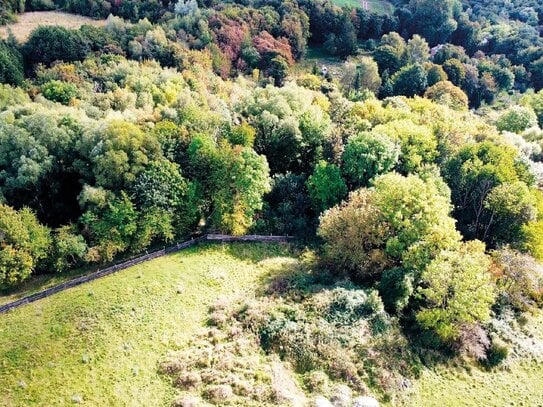 Waldgrundstück auf der Insel Rügen