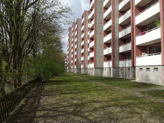 1-Zimmer-Wohnung in Hamburg Borgfelde