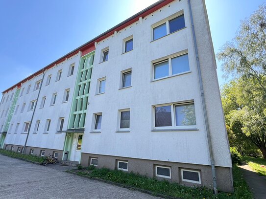 Geräumige Wohnung im Erdgeschoss