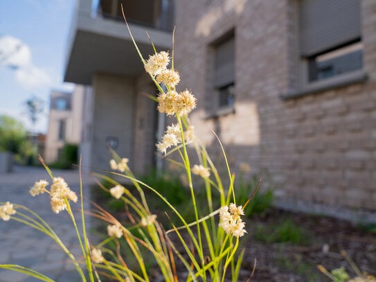 Barrierefreie 3-Zimmer-Wohnung mit Balkon - provisionsfrei | WE 334