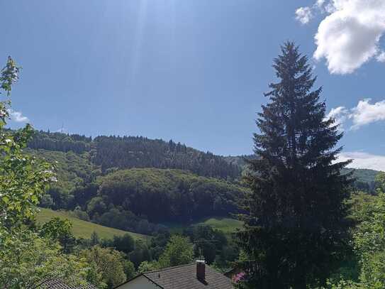 NEU NEU NEU Ein- Zweifamilienhaus in Malsburg - Marzell