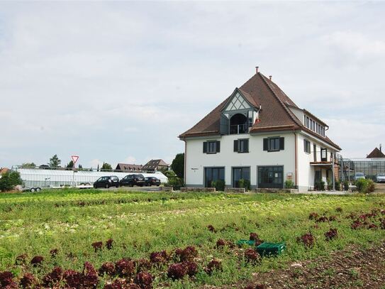 Hochwertig sanierte Ferienwohnung auf der Insel Reichenau am Bodensee