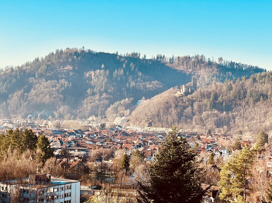 Sonnige modernisierte 3 - Zimmer Terrassenwohnung (124 qm) mit großer Terrasse und herrlichem Ausblick!