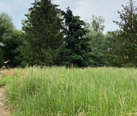 810m² Baugrundstück incl. Bodengutachten und genehmigter Bauplanung in bester Ortslage. Nur 5 Minuten bis Tangermünde!