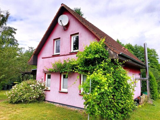 großes Ferienhaus mit zusätzlicher Ferienwohnung und unverbautem Blick auf den Witt Pohl