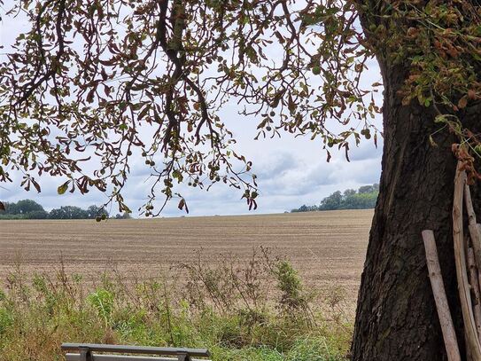 Traumhaft...mit viel Liebe saniert und großer Scheune, Garten und Teich