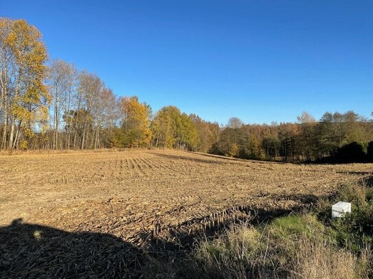 Verpachtete Ackerfläche am Ortseingang Heimhof bei Bärnau - gute Zufahrt