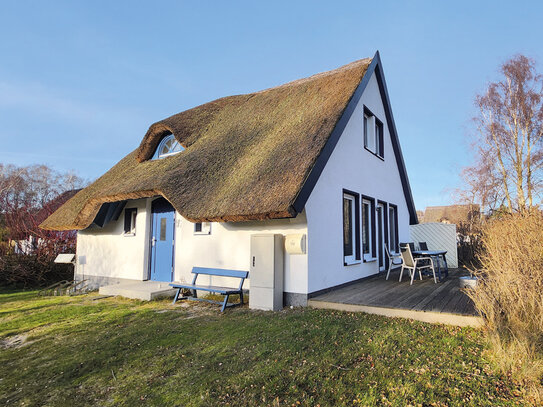 Reetgedecktes Ferienhaus 18565 Vitte/ Hiddensee, In den Dünen 158, Haus 17