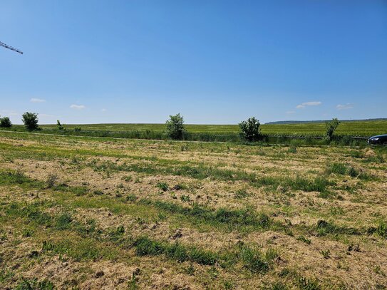 Ein Baugrundstück in sehr guter Lage im Teilort von Bad Schussenried