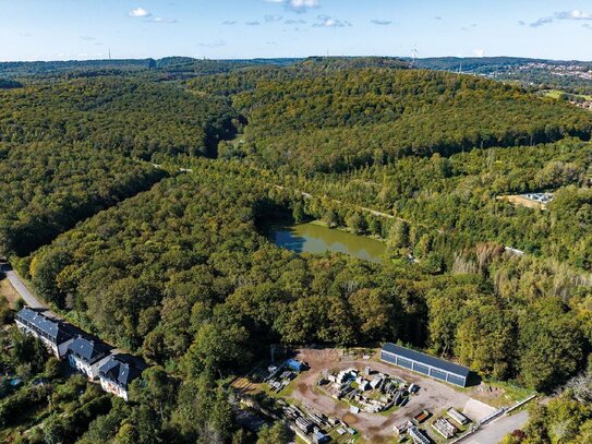 1,5 ha Waldgrundstück in Neunkirchen