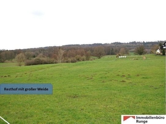 40.000m² großer Resthof mit Weide, Stallungen und Scheune vor den Toren der Landeshauptstadt Hannover