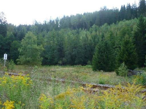 Grünflächen in Klingenthal OT Zwota, Nahe Markneukirchener Straße