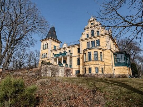 Erstklassige Lage in Radebeul | Exklusive ca. 360 m² in den Weinbergen mit bester Aussicht