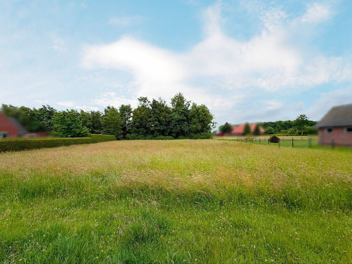 Real Estate Title Image Background
