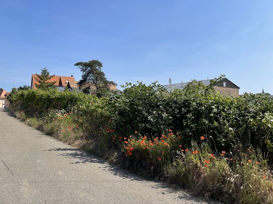 Grundstück in bester Lage für Ihr individuell geplantes Haus!