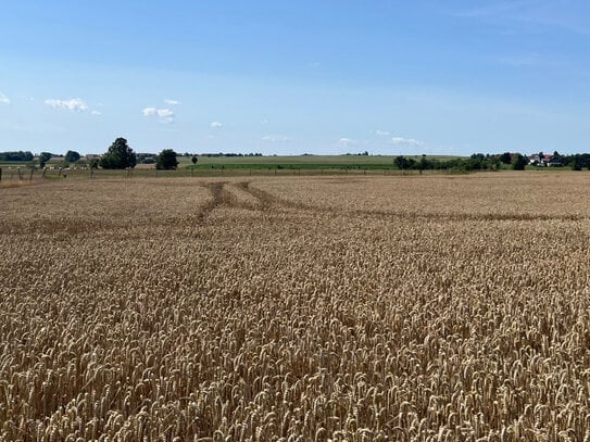 13,9 ha Acker,- Grünland östlich der Lommatzscher Pflege