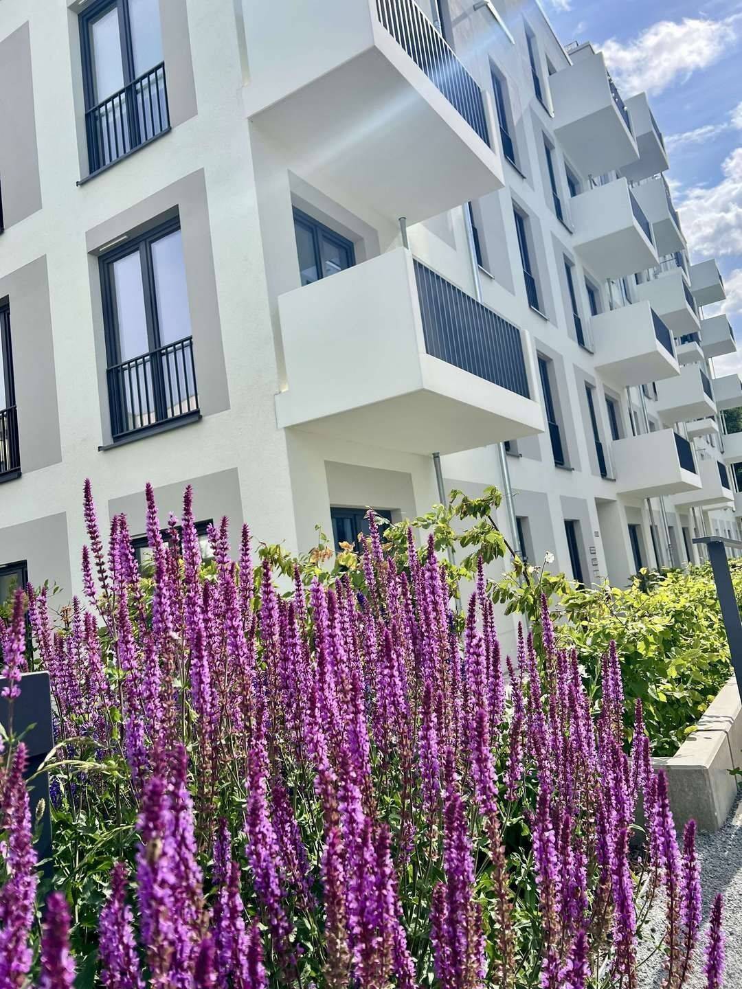 3 Zimmer Terrasse - HAVELUFER Quartier - Foto 1