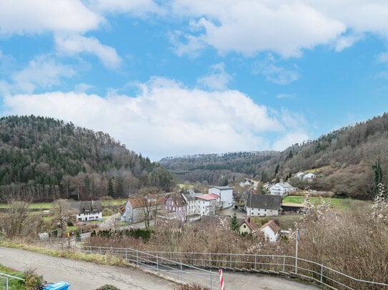 Panorama, Sonne und Freisicht, geben Ihnen hier hoch über dem Neckartal ein neues Wohlfühlzuhause!