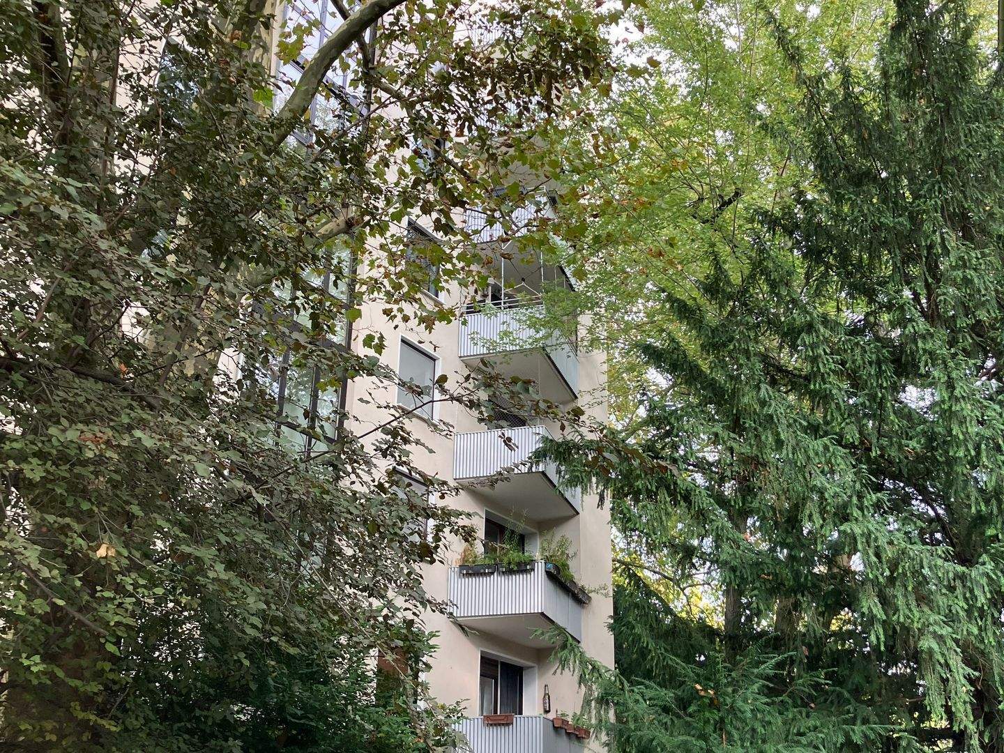 Sehr hübsche 2 Zimmer Wohnung in Laufnähe zur City im schönen Ostend