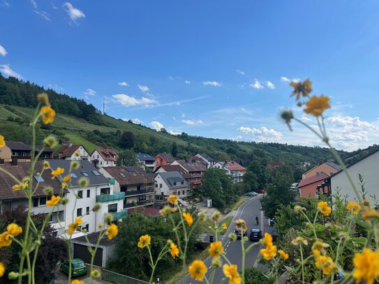 Weitblick auf Weinberge & Natur ! Gemütliche Maisonette-Wohnung