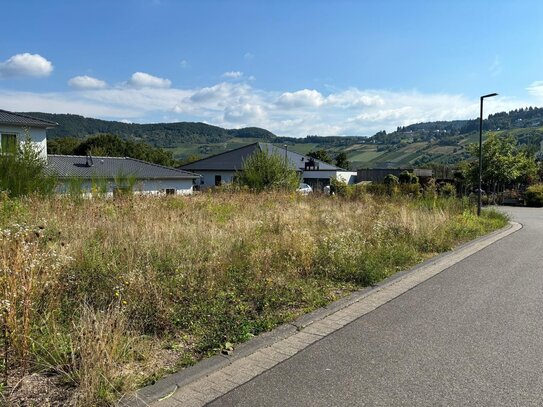 Grundstück in Leiwen mit Moselblick aus zweiter Reihe