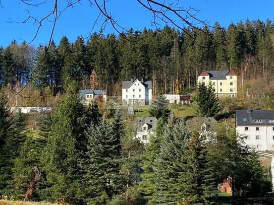 Blick auf's Bergdorf +++Mehrfamilienhaus in Pobershau+++