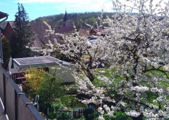 Frisch renovierte 4 Zimmer Wohnung mit Balkon und Garten