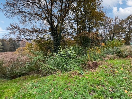 Baubeginn sofort möglich: Zwei erschlossene Grundstücke in Münchweiler