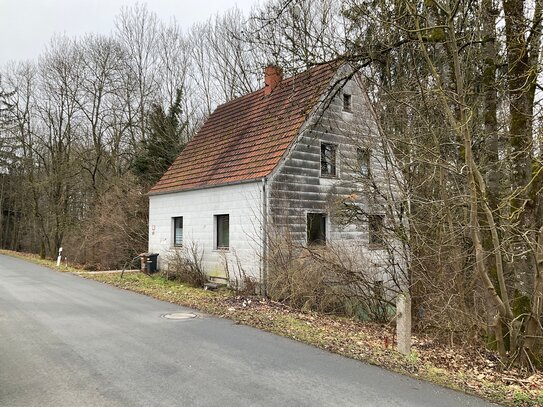 Projekt für handwerklich begabte - Haus mit großzügigem Grundstück