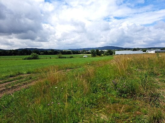 Bauerwartungsland in Berg bei Neumarkt in der Oberpfalz