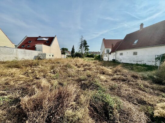 Schönes Baugrundstück in Mutterstadt