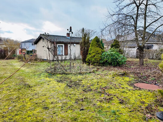 Exklusives Baugrundstück in Vogelsdorf - Ihre Chance für ein Traumhaus!