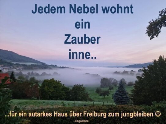 ...ein Mega zauberhaftes Grundstück in Freiburg, ...und der Himmel hier auf Erden....