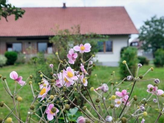 Vielseitiges Gewerbegrundstück mit Wohnhaus...