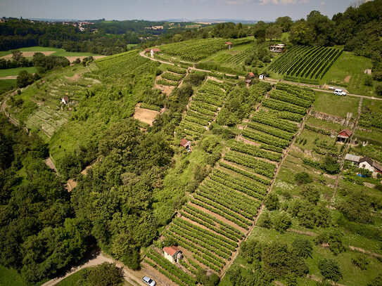 Ihr Eigenes Weinparadies und Wochenendgrundstück in Kirchberg a.d. Murr