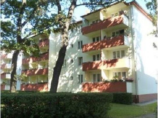 Teilmöbl. 2 Zi Wohnung m. sonnigem Balkon in Siemensstadt