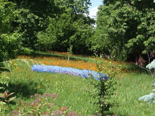 Ich SUCHE Ihr Grundstück: egal ob klein, ob groß, ob im Neubaugebiet, ob Baulücke oder als Teil vom Garten !!!